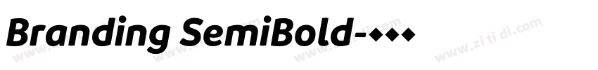 Branding SemiBold字体转换